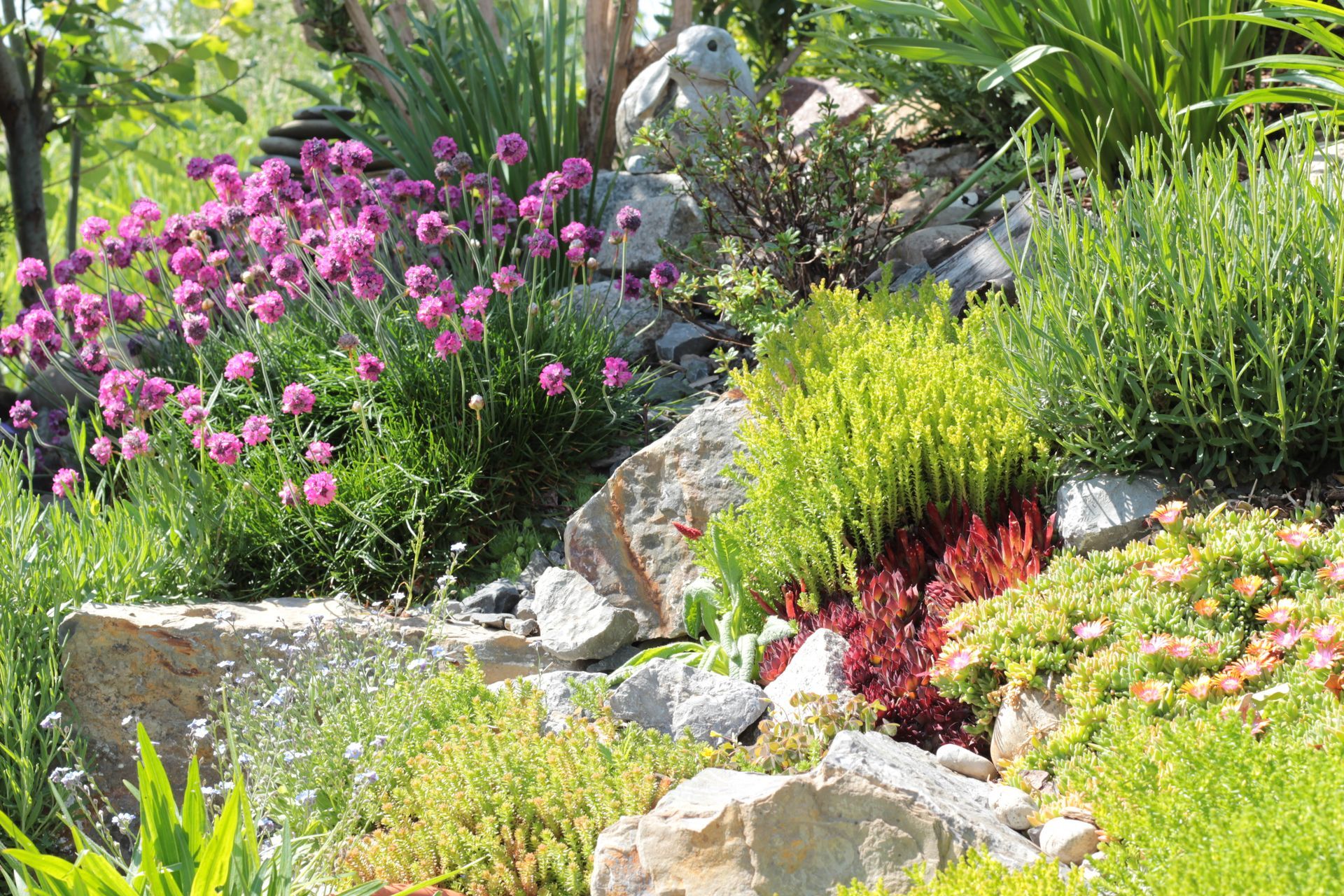 Un jardin de rocaille orné de fleurs de ciboulette d'un violet éclatant, de divers couvre-sols verts, d'une touffe de feuillage rouge et d'un petit lapin.
