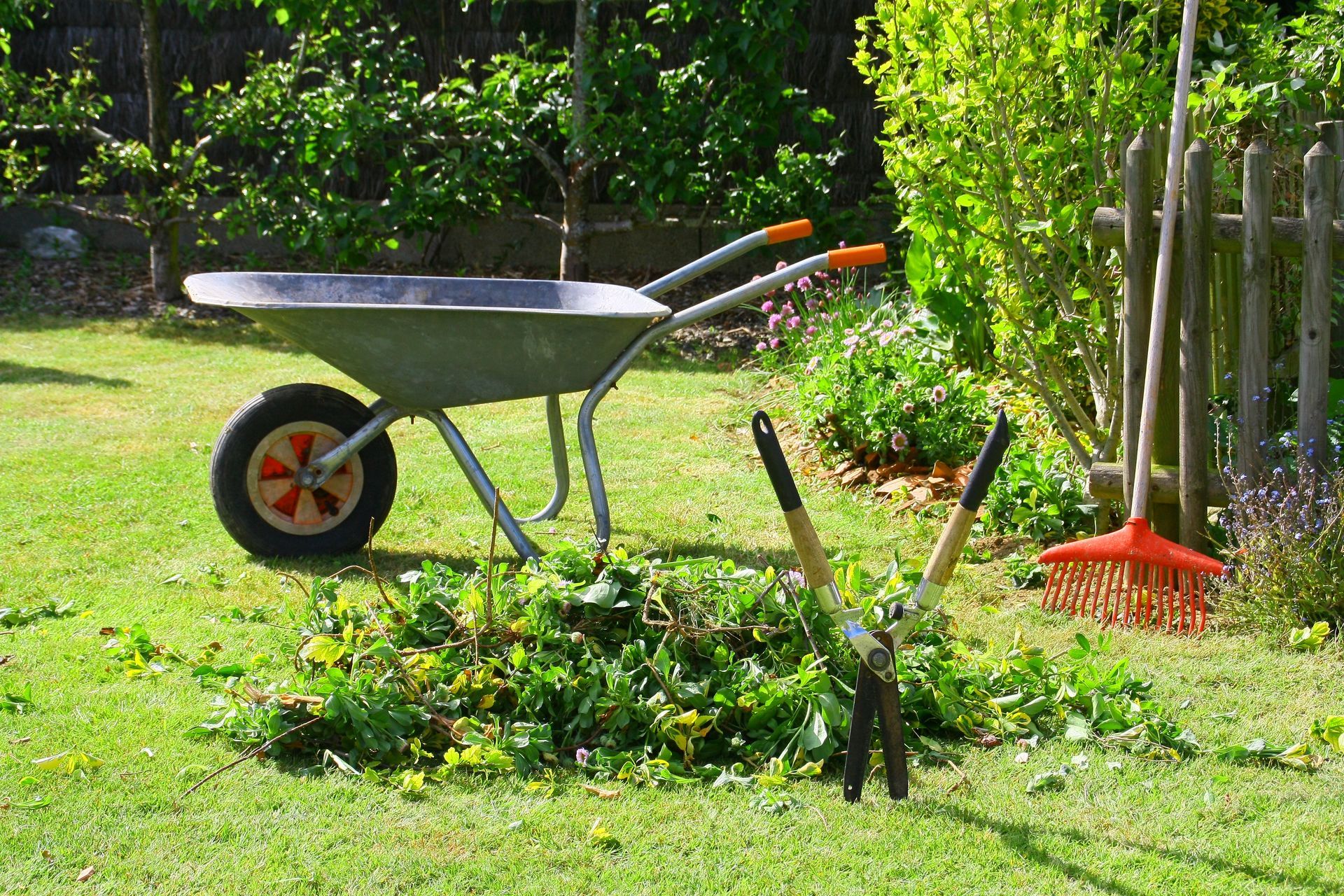 Une brouette, un sécateur et un râteau sont posés sur une pelouse herbeuse, près d'un tas de déchets de jardinage, à côté d'une clôture en bois.