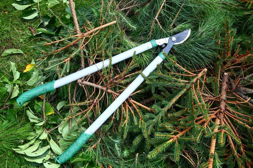 Un sécateur à long manche avec des poignées vertes repose sur un tas de branches de conifères et de feuillages taillés dans une cour herbeuse.