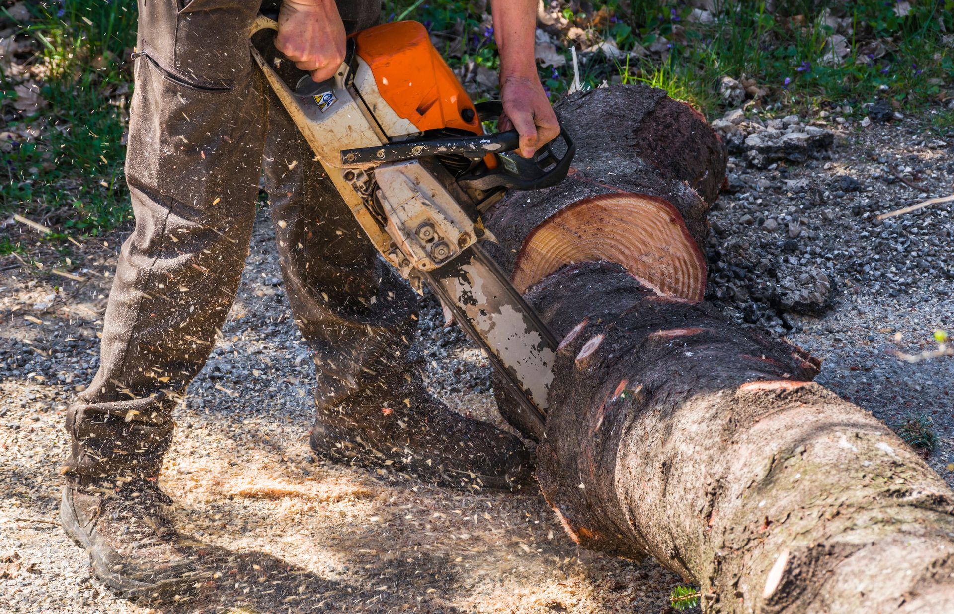 Une personne utilise une tronçonneuse pour couper un tronc d'arbre au sol, entourée de copeaux de bois.