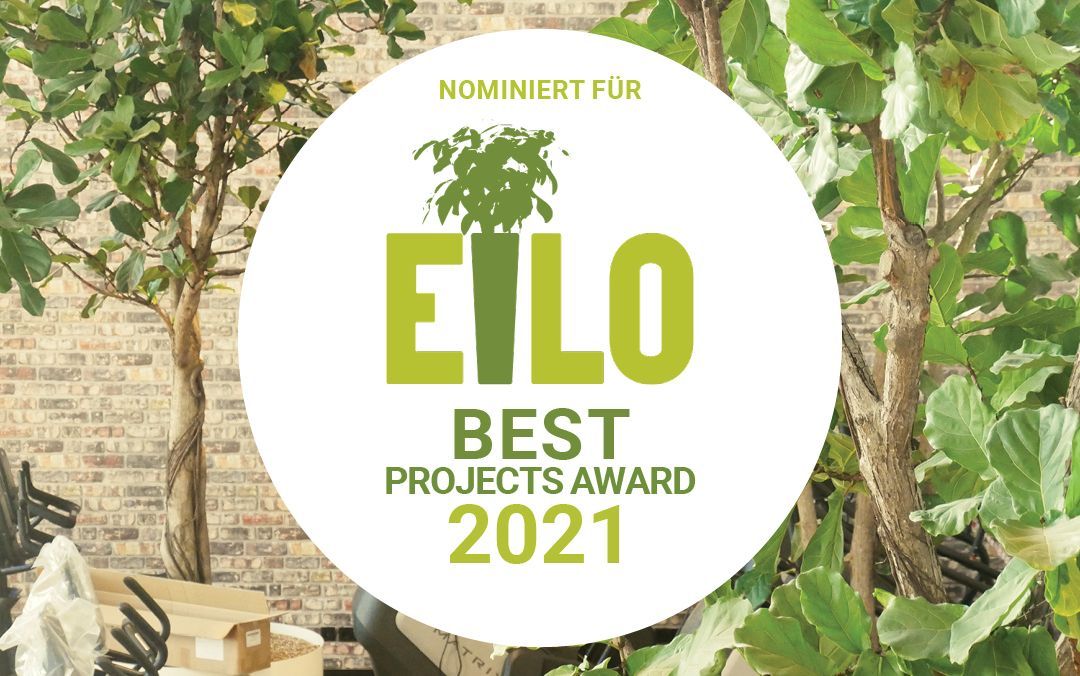 Eine runde weiße Grafik mit grünem Text lautet: 