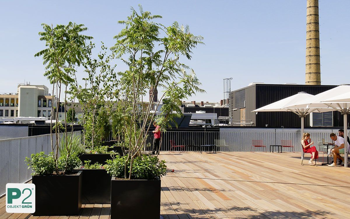 Begrünungskonzept mit Holzterrasse und Pflanzkästen auf einem Bürogebäudedach