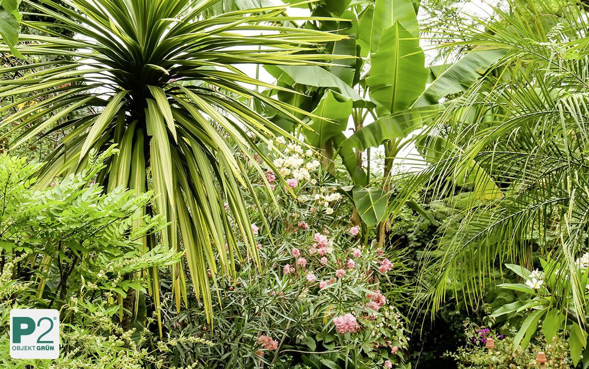 Moderne Lobby mit grünen Pflanzen in schwarzen und grauen Pflanzgefäßen, Sitzbank und Aufzug im Hintergrund