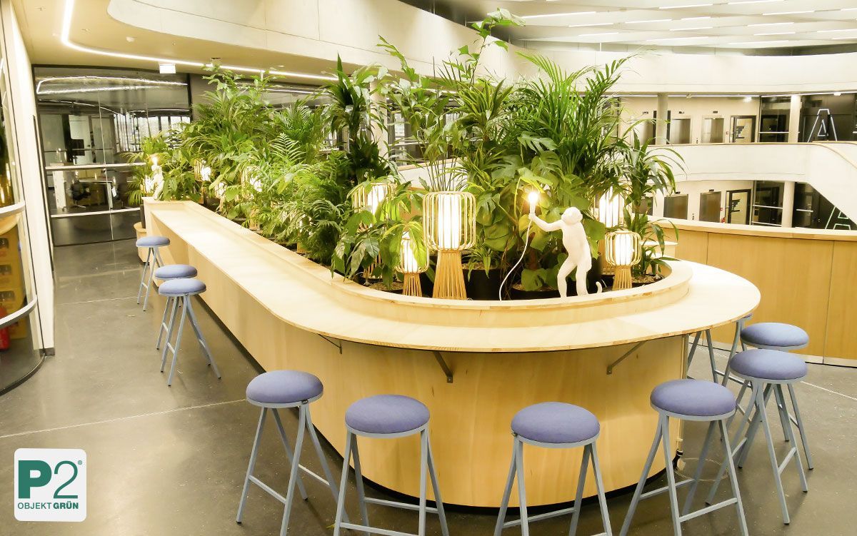 Moderne Bar mit Pflanzen und Beleuchtung im Innenraum.