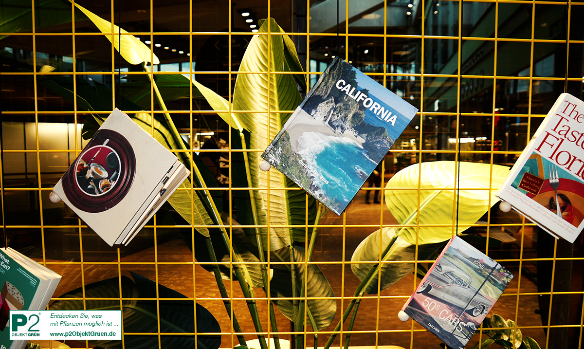 Reiseführer zu Kalifornien und Florida hängen an einem gelben Gitter vor großen grünen Blättern