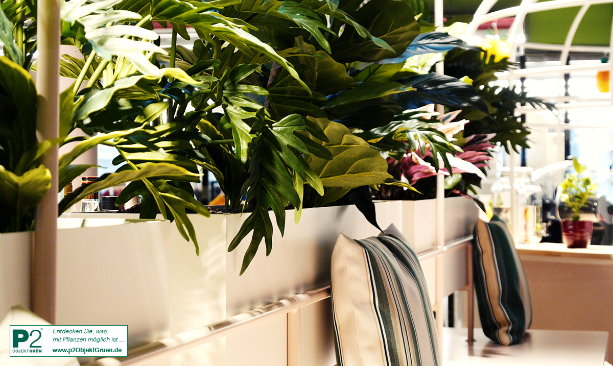 Grüne Zimmerpflanzen in weißen Pflanzgefäßen auf einer Trennwand mit Sitzbank und gestreiften Kissen