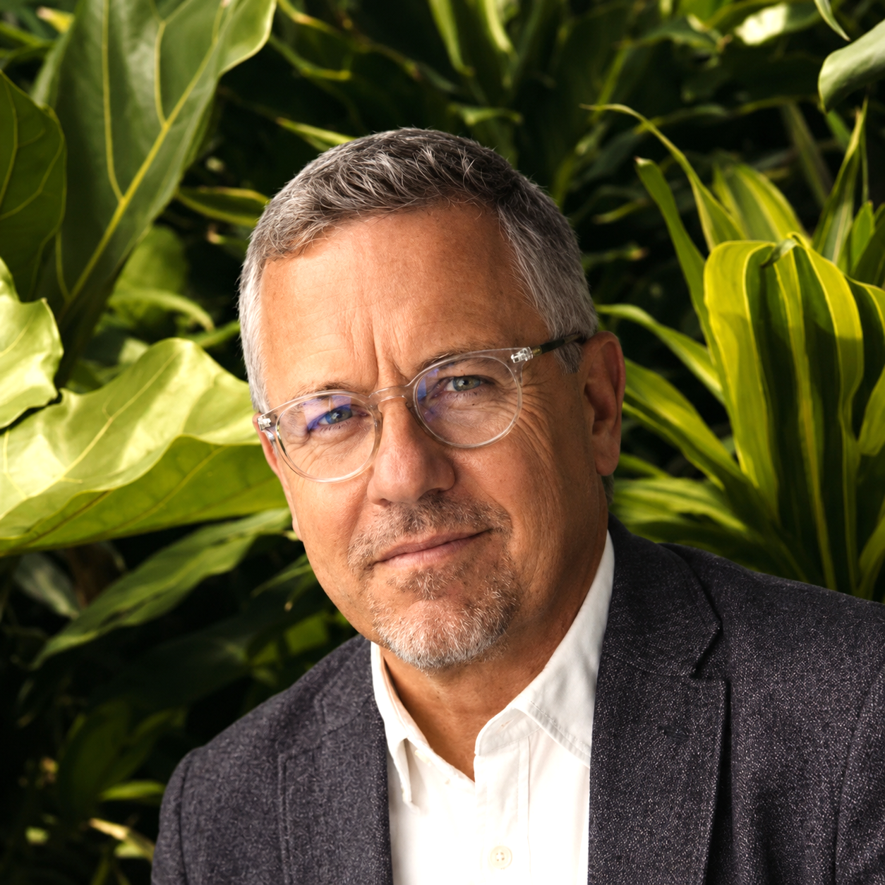 Grüne Pflanzen