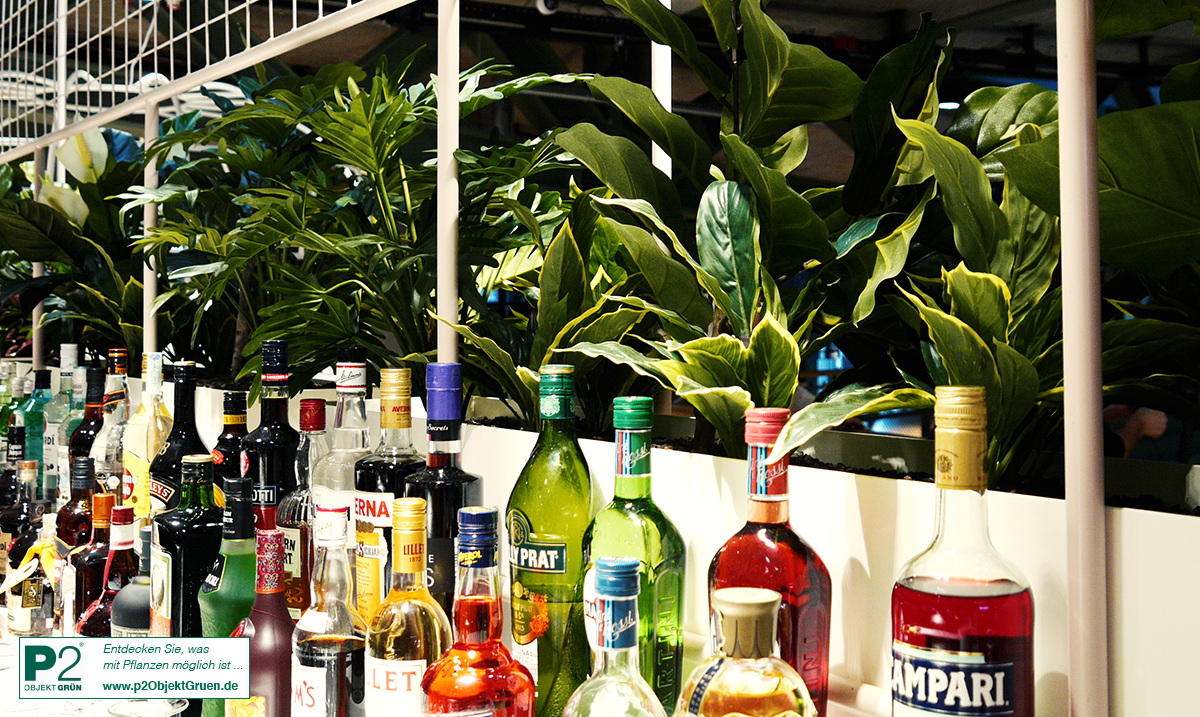 Bar mit vielen Pflanzen