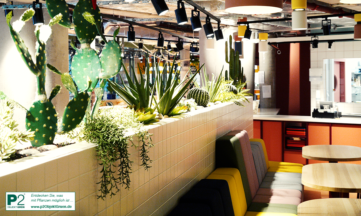 Moderne Küche mit verschiedenen Pflanzen und gemütlichen Sitzplätzen.