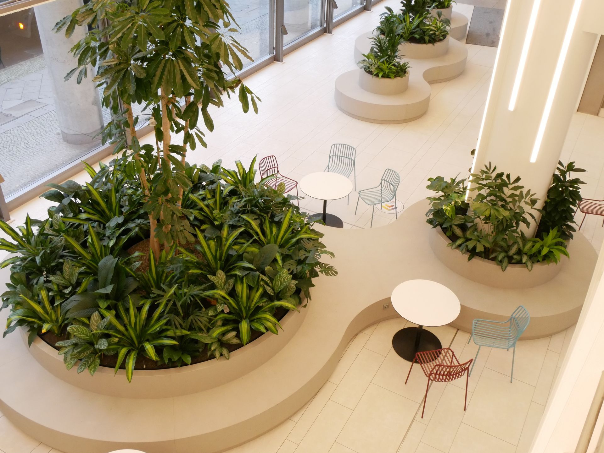 Ein moderner Büroflur mit einer großen Grünpflanze in einem weißen Topf auf einem Regal.