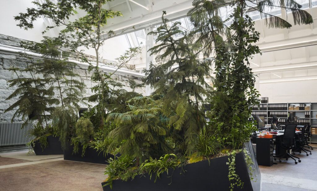 Kreative Innenraumbegrünung mit kopfüber aufgehängten Nadelbäumen.