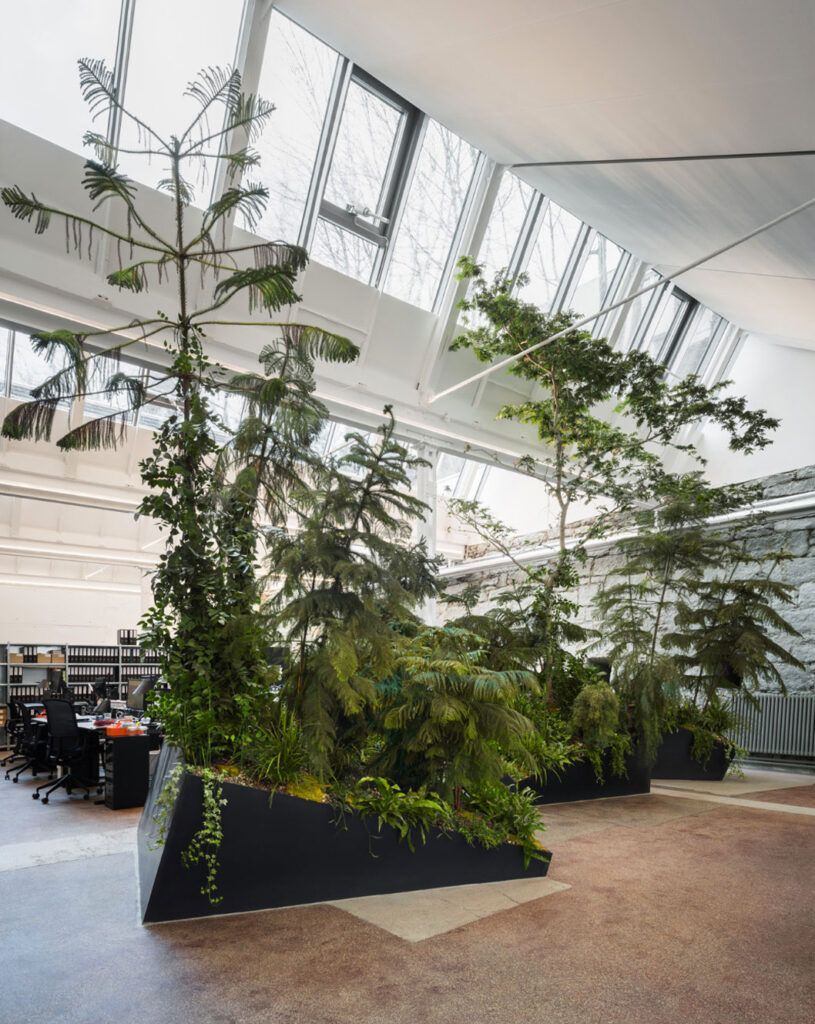 Hängende Tannenbäume als Rauminstallation in einer modernen Industriehalle.