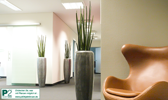 Modernes Büro mit Pflanzen und einem eleganten Sessel.