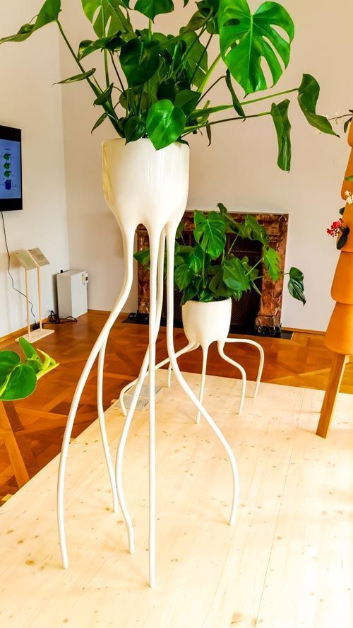 Weißer Blumentopf mit Pflanze darin