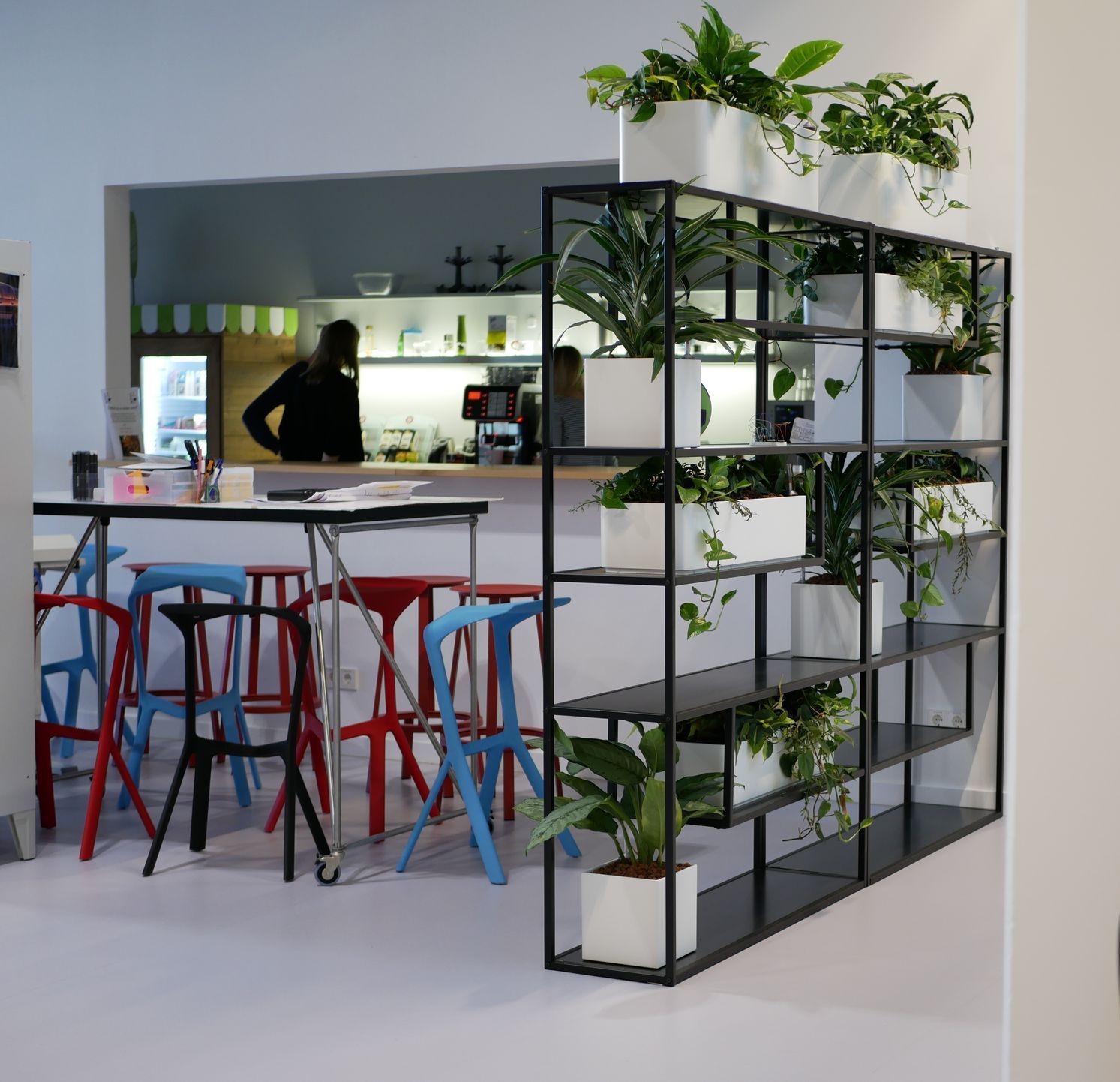 modernes Regal mit Pflanzen in einem modernen Raum