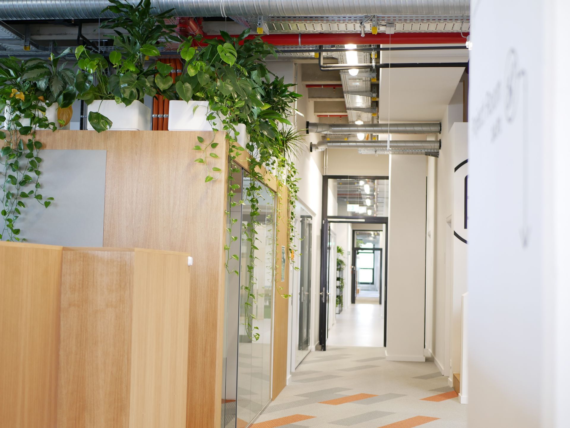 Modernes Büro mit Pflanzen