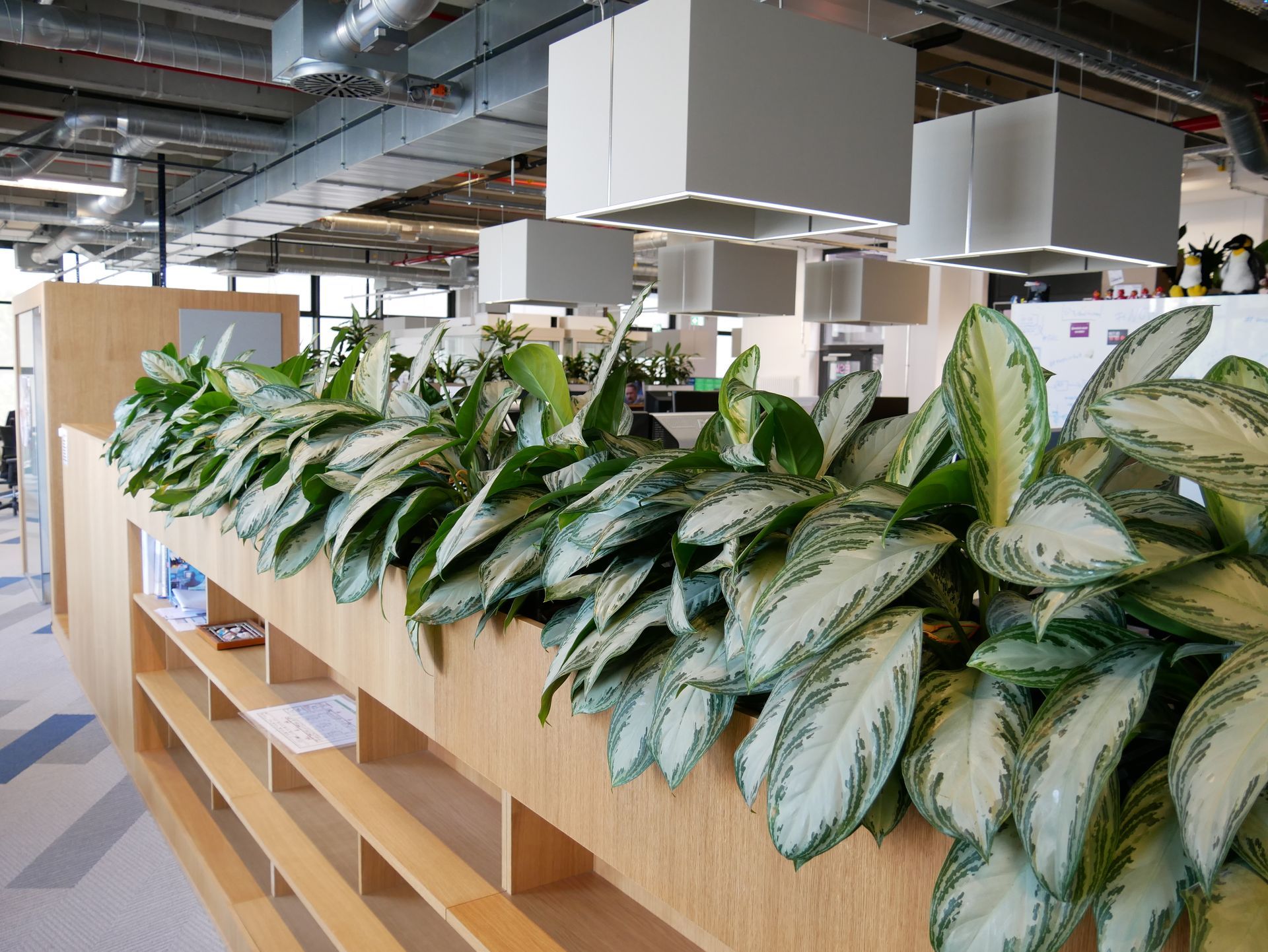 Modernes Büro mit Pflanzen