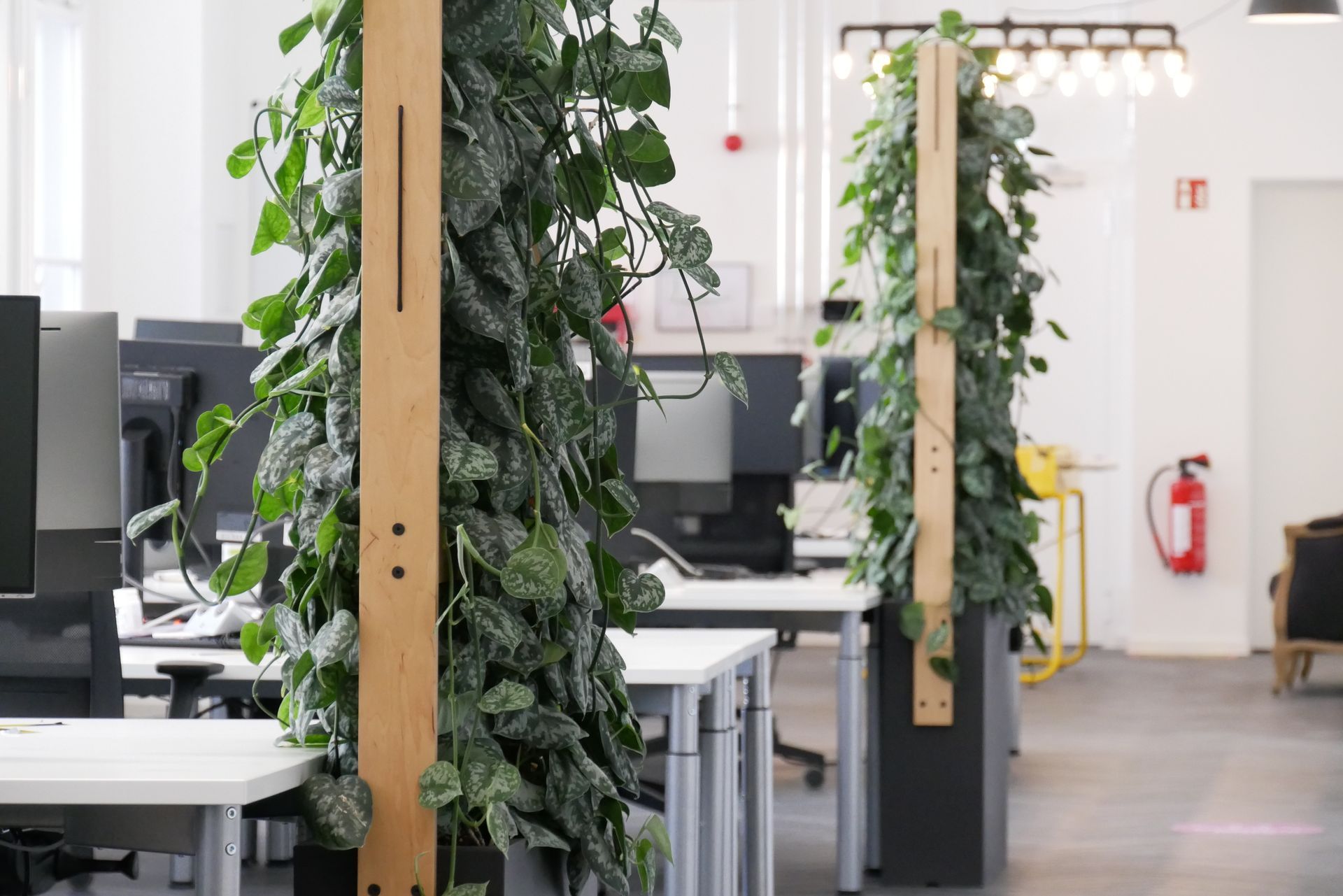 Modernes Büro mit Pflanzen