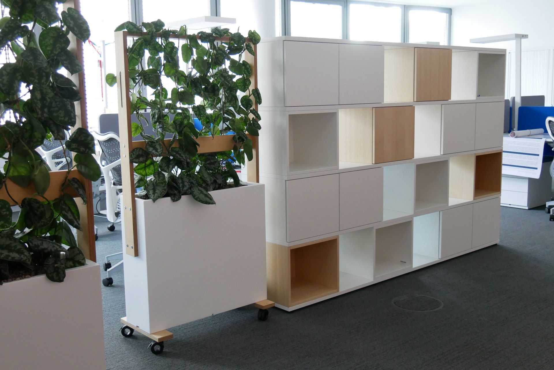 Modernes Büro mit Pflanzen