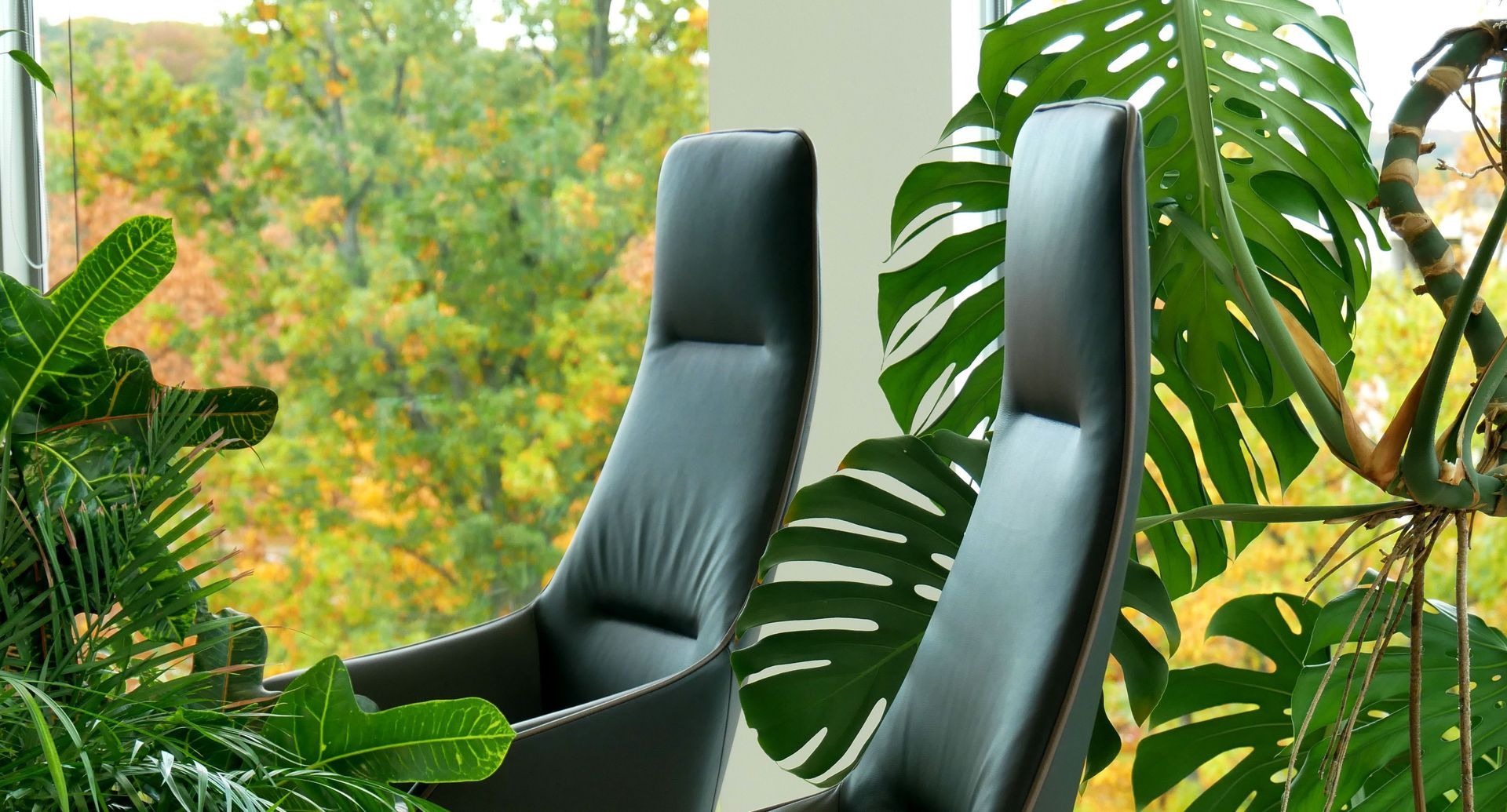 Zwei schwarze, hohe Bürostühle vor einem Fenster mit Blick auf grüne und gelbe Bäume.