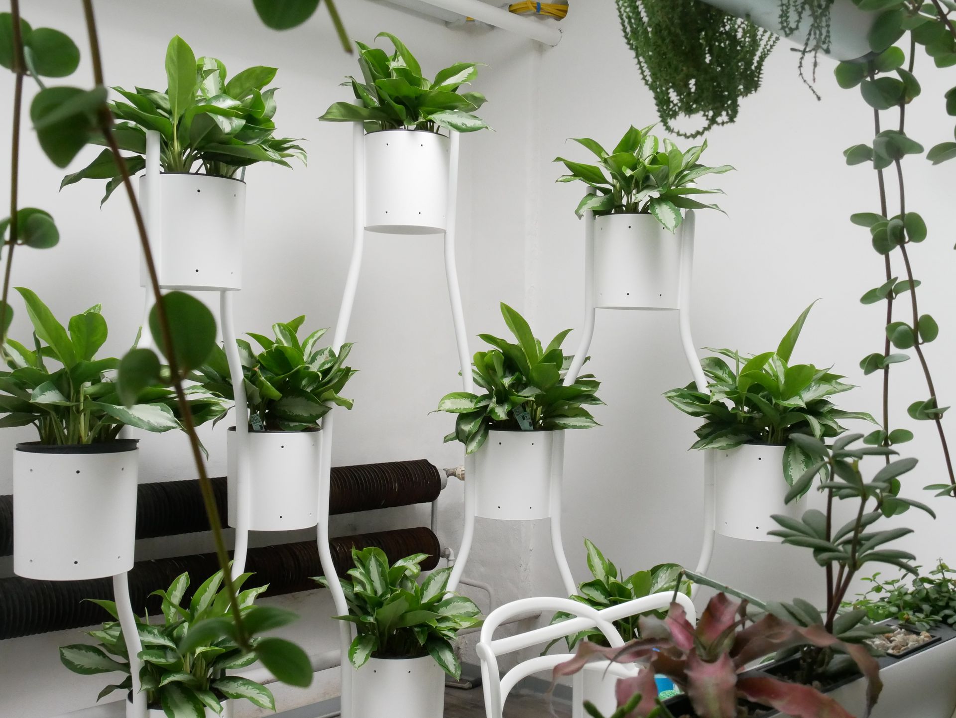 Flur mit vertikaler Begrünung an beiden Seiten, Glaswände rechts, moderne Beleuchtung, Bürogebäude Maximal 120 Zeichen