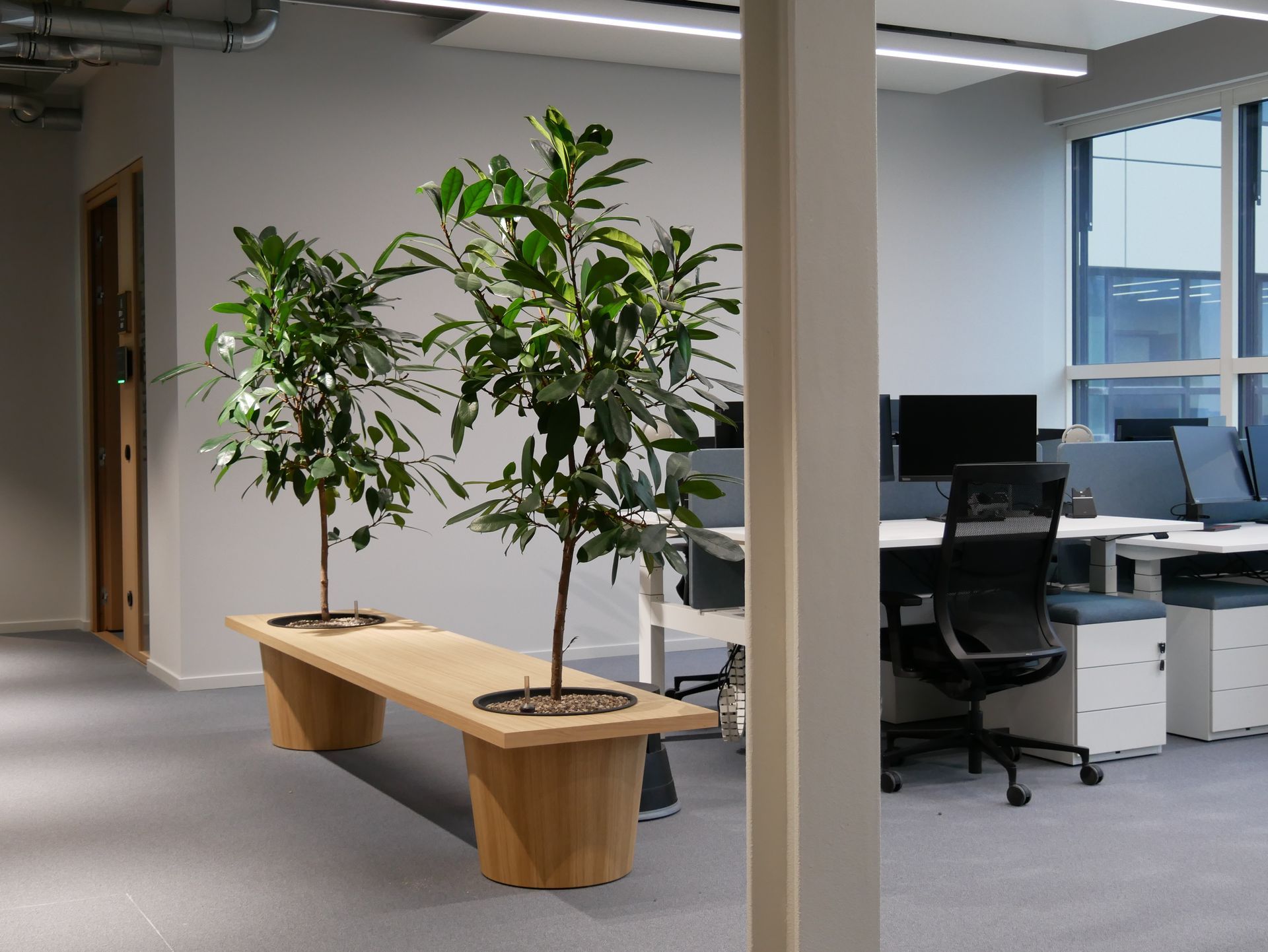 Modernes Büro mit zwei Pflanzen auf einem Holzbank.