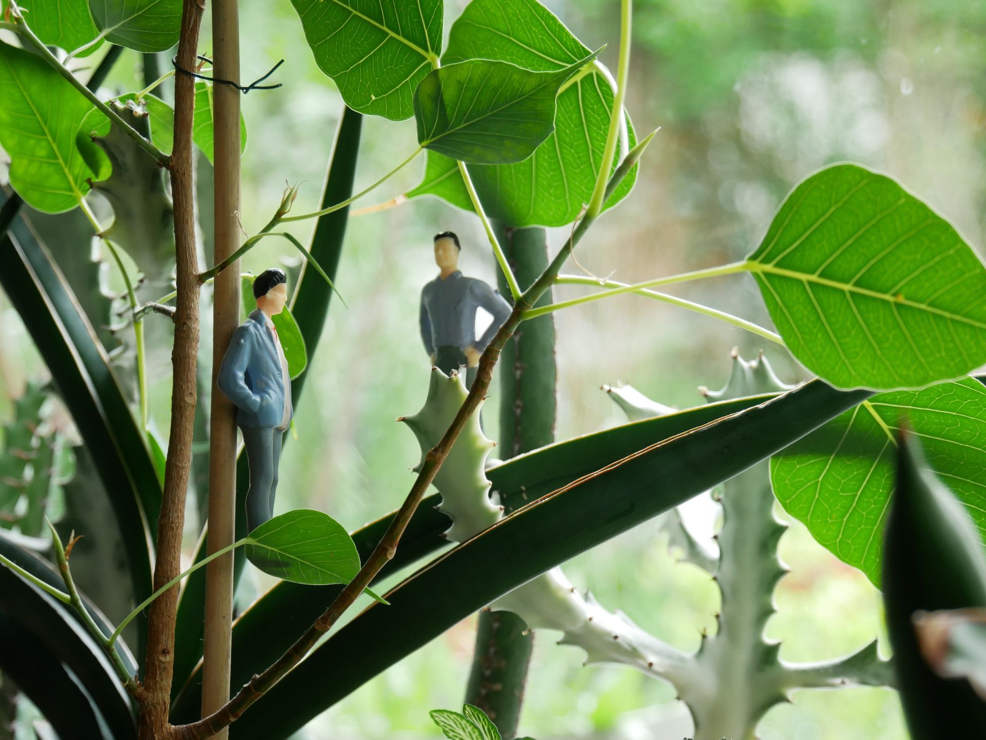 Miniaturfiguren zwischen großen grünen Blättern in einer dichten Zimmerpflanzenlandschaft.