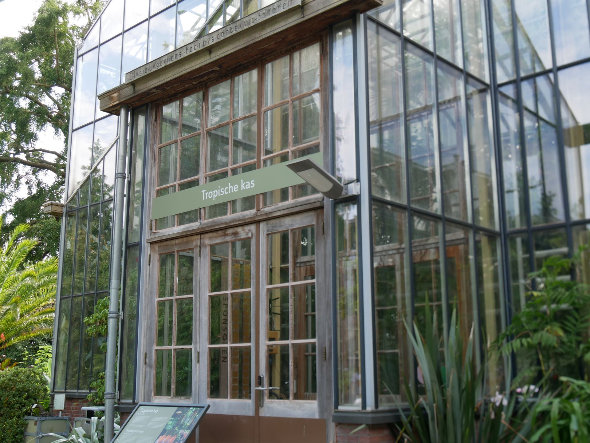 Grüne Pflanzen und Palmen in einem modernen Glashaus.