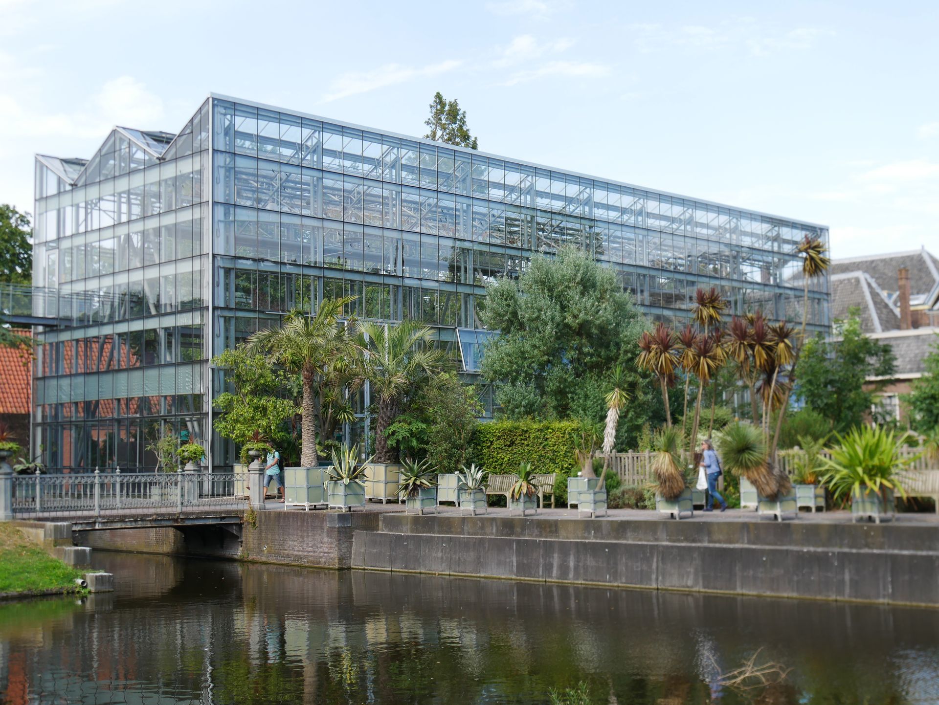 Innenansicht eines tropischen Gartens mit Palmen und Pflanzen.