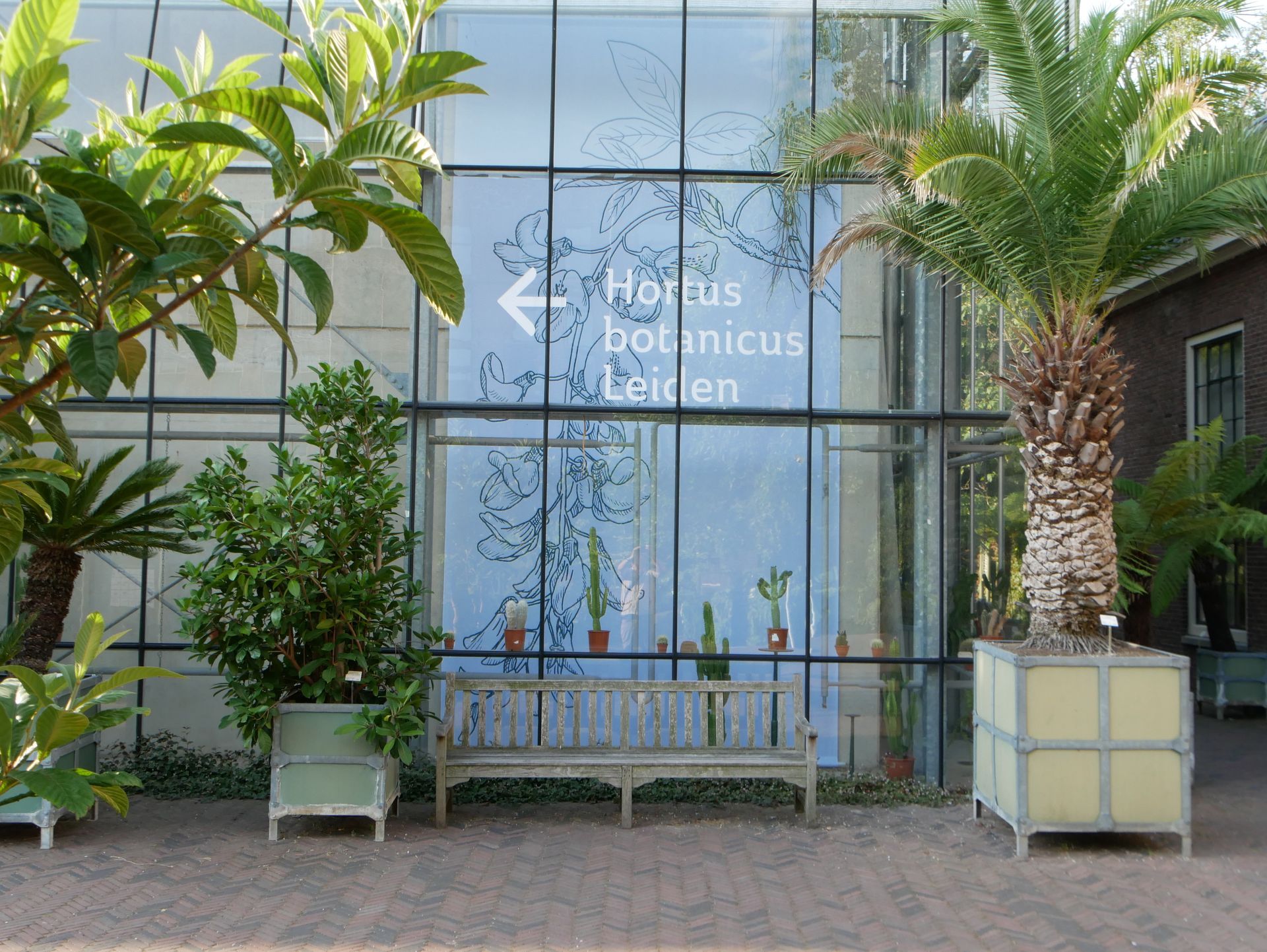 Eingangsbereich des Hortus Botanicus in Leiden mit Pflanzen und Sitzbank.