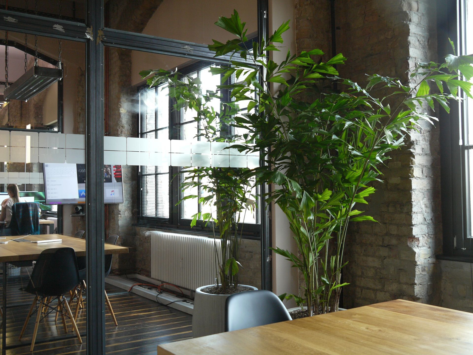 Modernes Büro mit großen Pflanzen und runden Tischen.