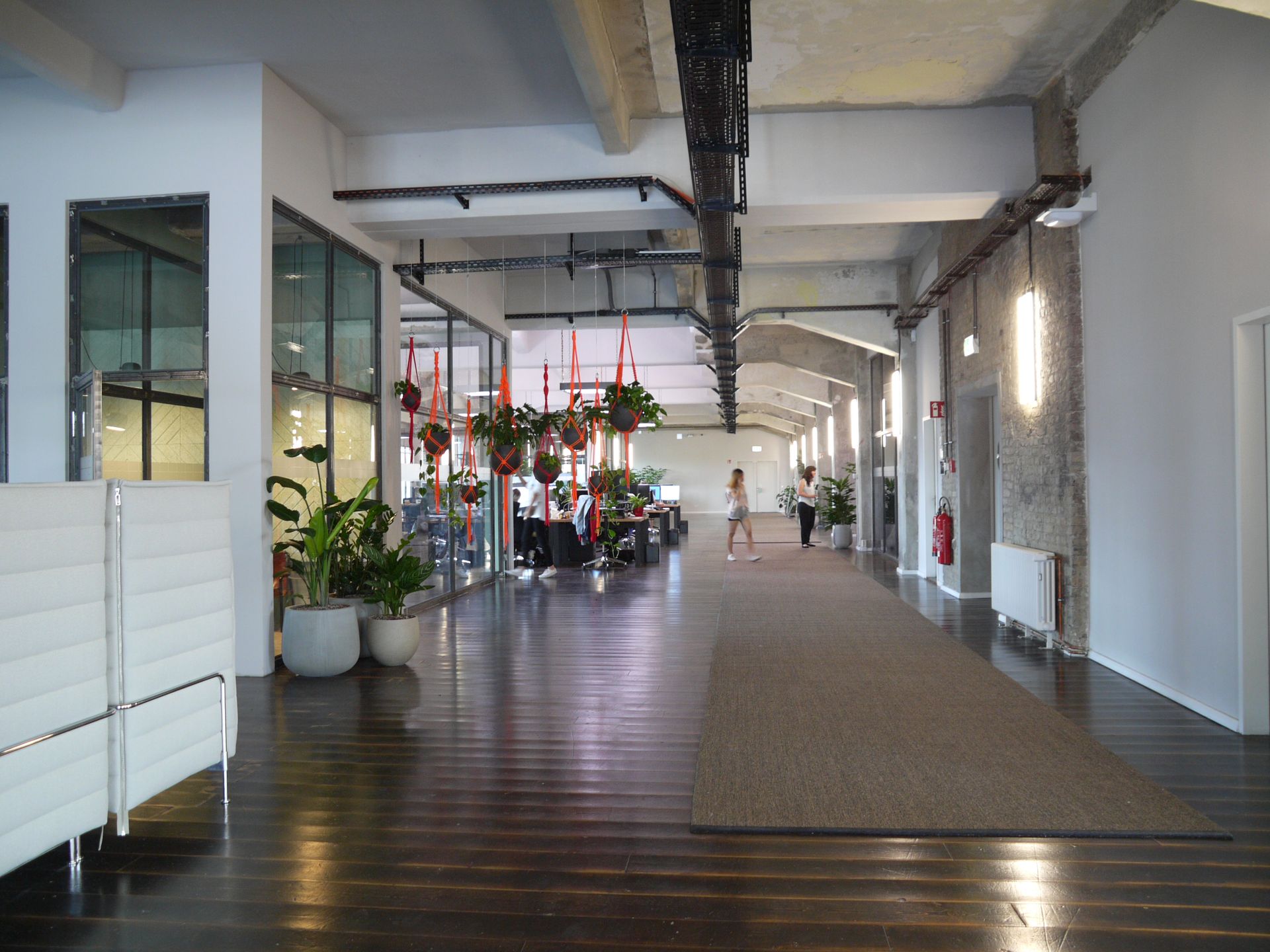 Modernes Büro mit grünen Pflanzen 