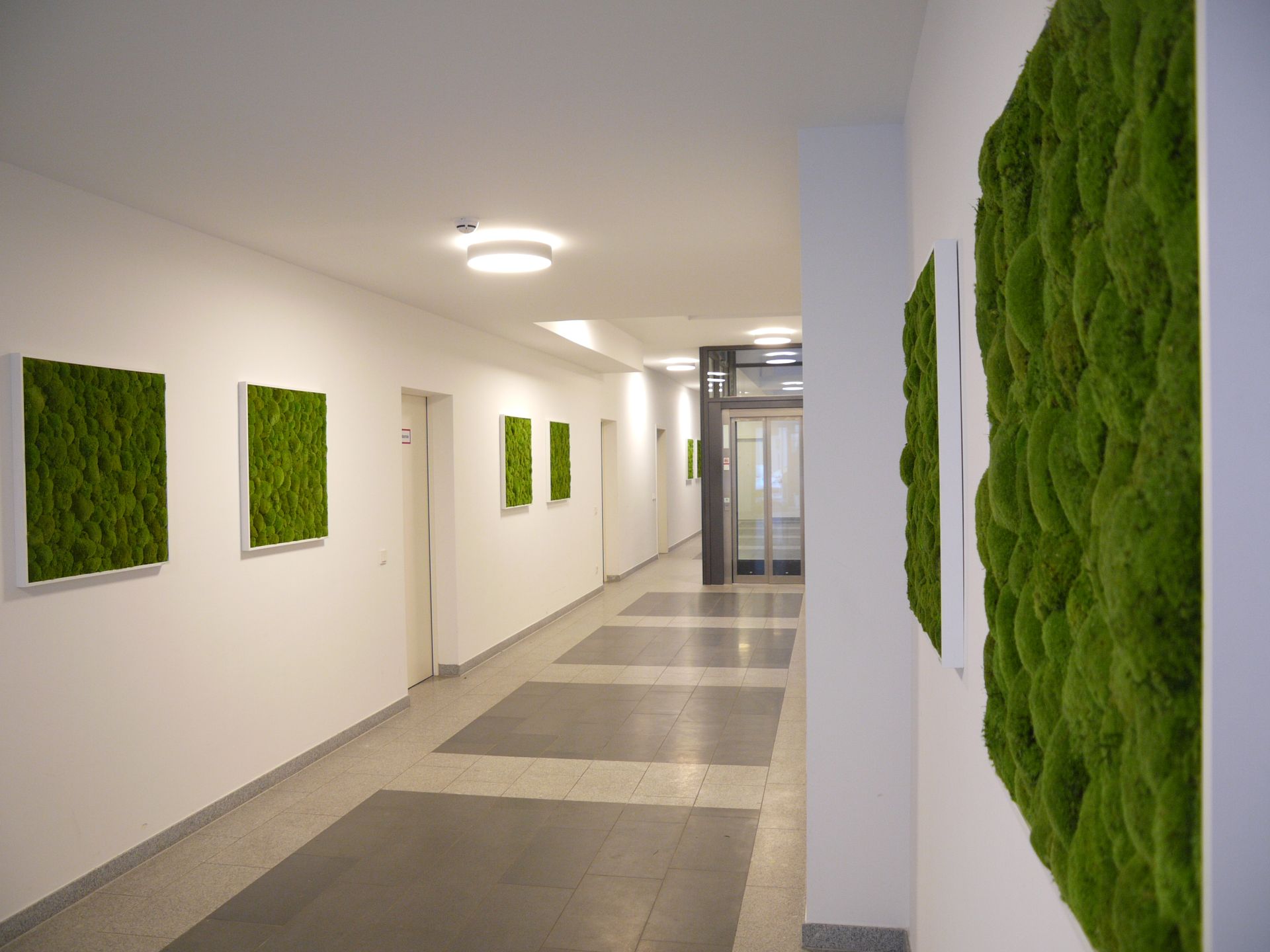 Eine moderne Fluransicht mit Moosbildern an der Wand.