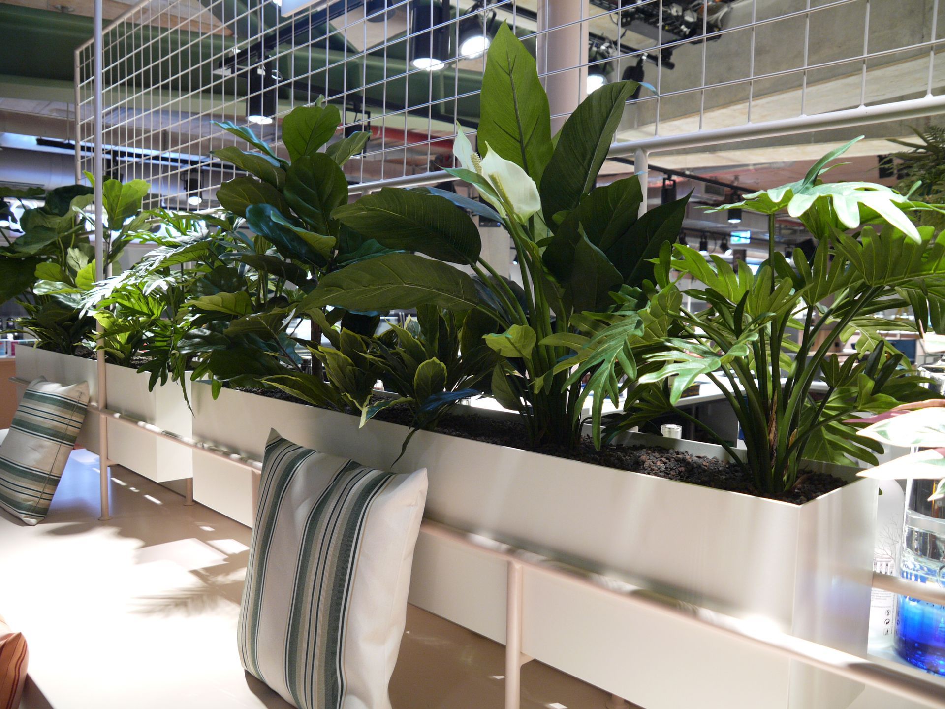 Eine dekorative Vase mit Zitronen und grünen Pflanzen.