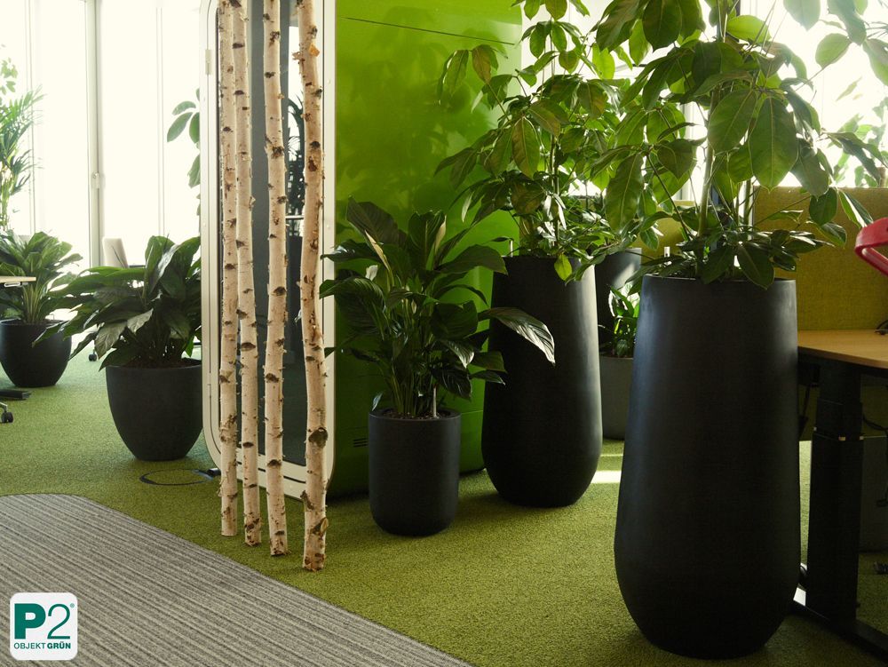 Grünes Büro mit Pflanzen und modernen Töpfen.