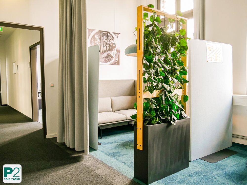 Ein moderner Büroraum mit einem grauen Sofa, blauen Sichtschutzwänden und einem hohen Pflanzgefäß mit grünen Blattranken