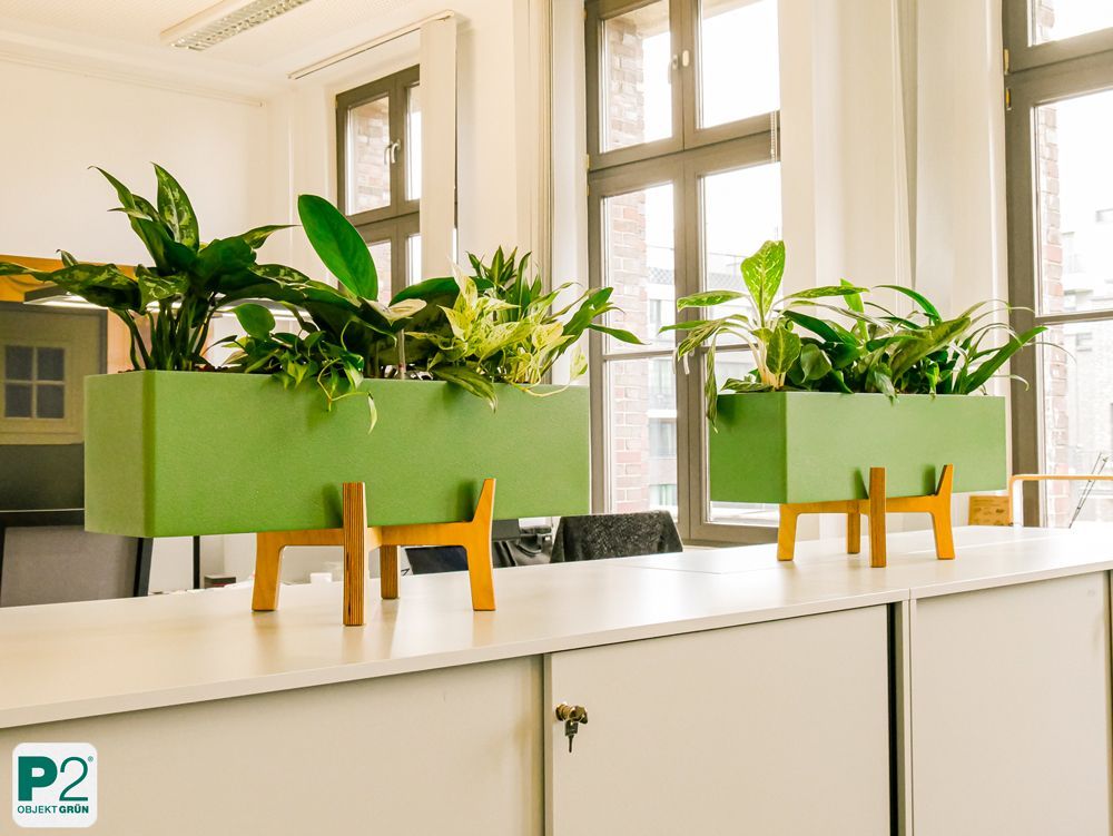 Zwei moderne grüne, rechteckige Pflanzgefäße mit grünen Zimmerpflanzen stehen auf Holzständern