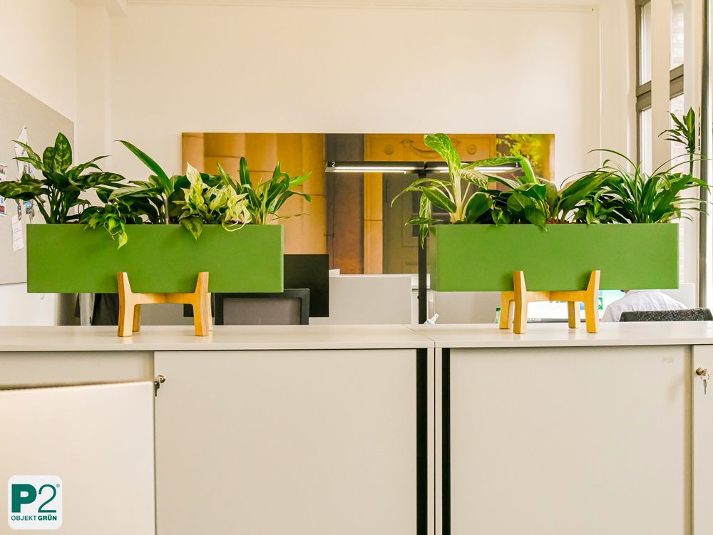 Zwei moderne grüne, rechteckige Pflanzgefäße mit grünen Zimmerpflanzen stehen auf Holzständern