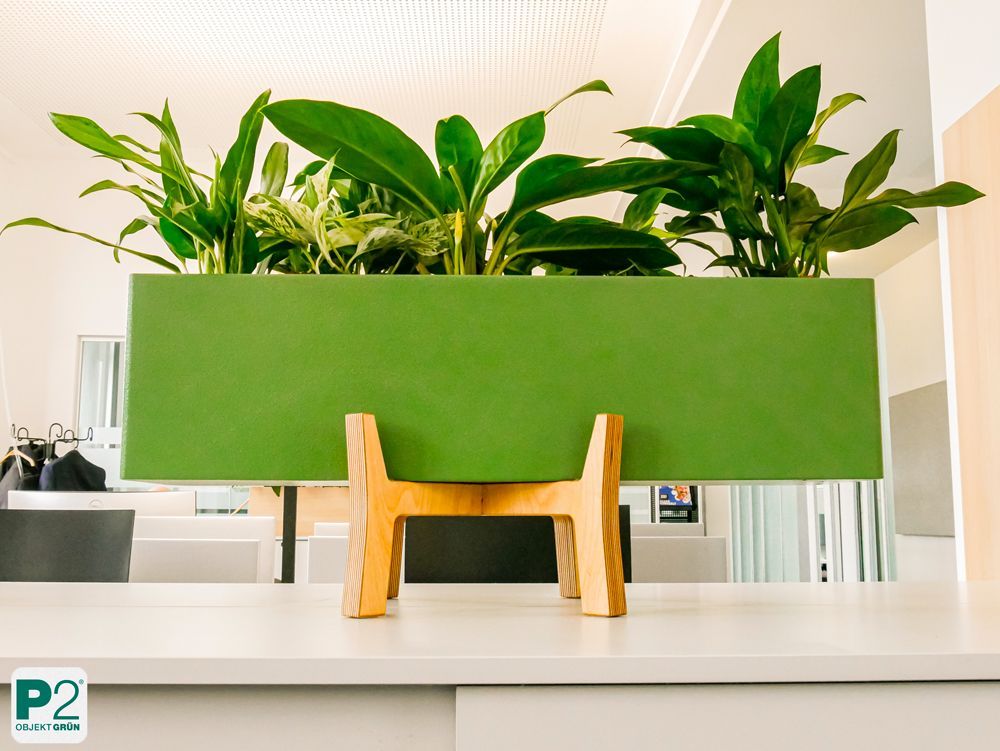 Zwei moderne grüne, rechteckige Pflanzgefäße mit grünen Zimmerpflanzen stehen auf Holzständern