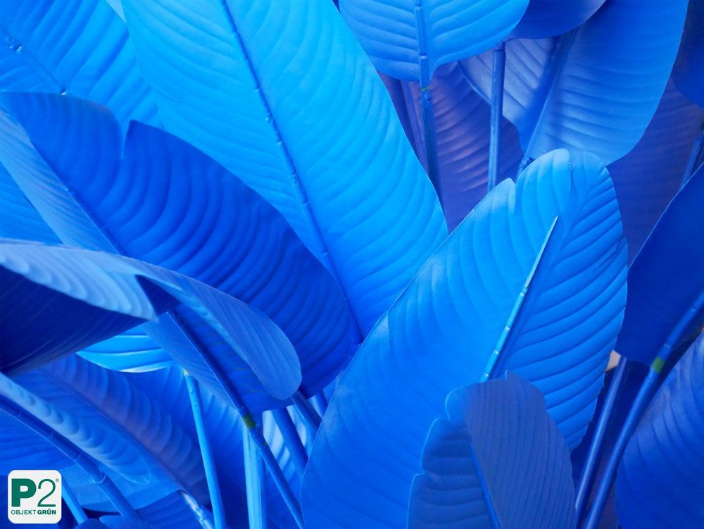 Nahaufnahme von blauen Blättern einer Pflanze.