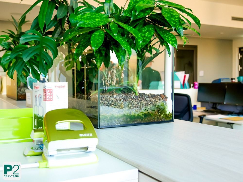 Eine Ansammlung von grünen Pflanzen in einem modernen Büro.