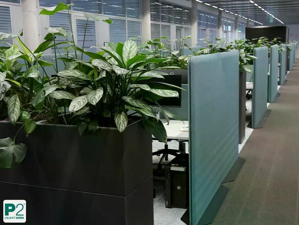 Eine Frau in einer rosafarbenen Strickjacke steht inmitten farbenfroher Blumenarrangements