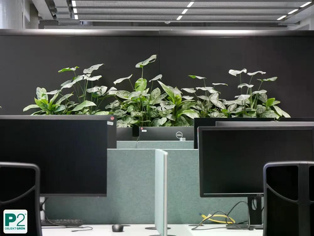 Drei farbenfrohe büstenförmige Vasen in Mintgrün, Neongelb und leuchtendem Pink