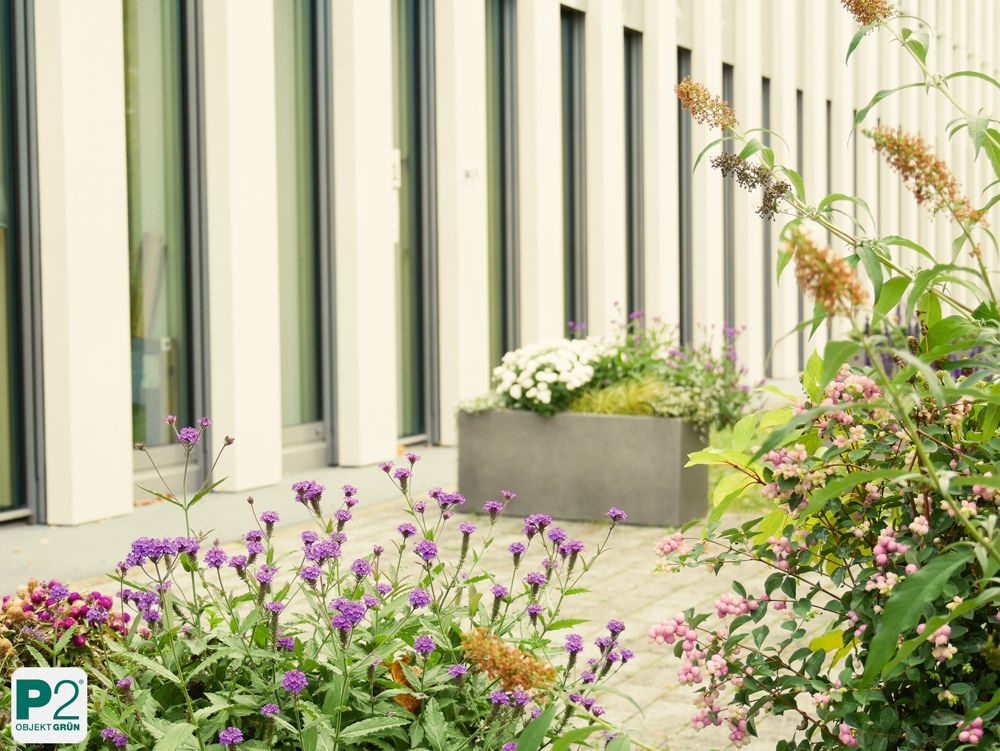 Verschiedene Blumenbeete in einem modernen Stadtgarten.