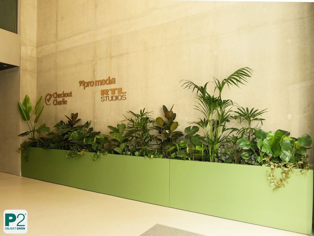 Begrünte Wand mit Pflanzen in einem modernen Büro