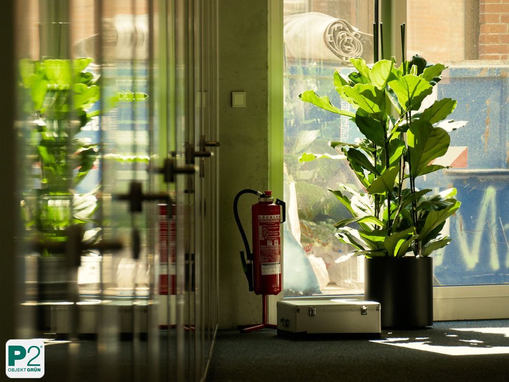Eine Büro-Pflanze neben einem Feuerlöscher in einem modernen Raum.