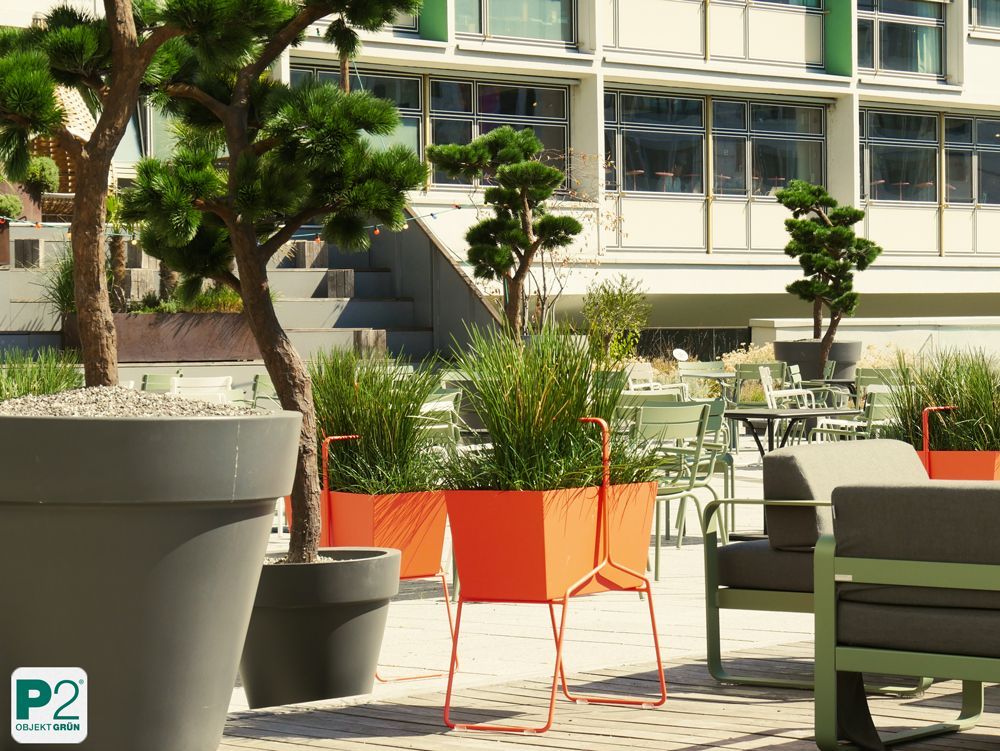 Stilvolle Gartenmöbel mit Pflanzen im Hintergrund.