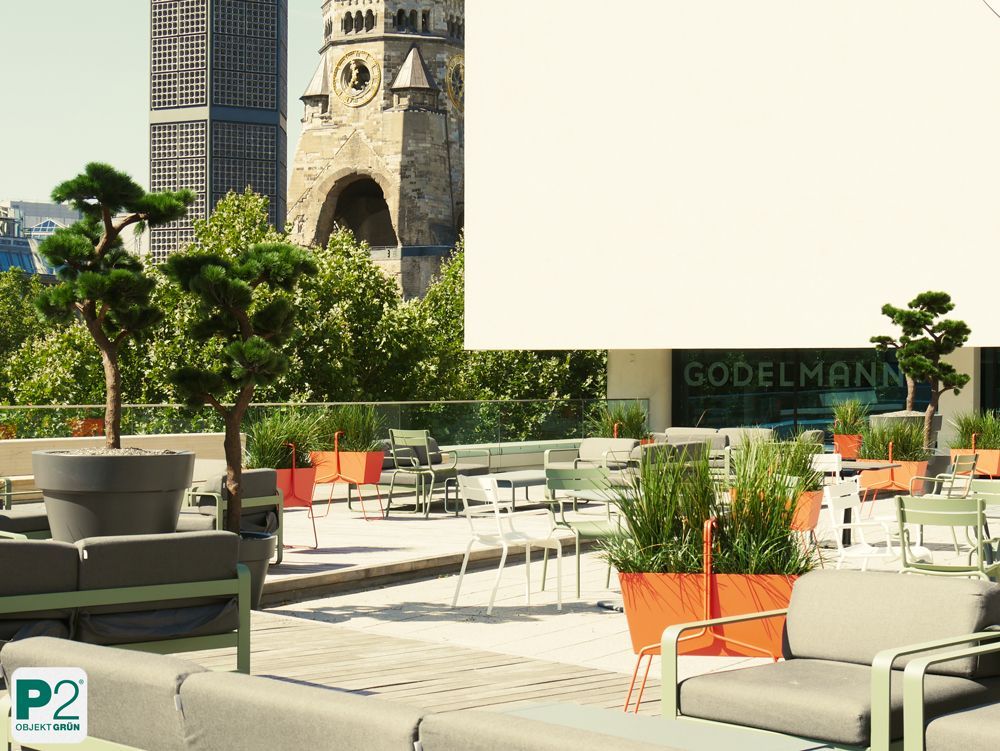 Stilvolle Gartenmöbel mit Pflanzen im Hintergrund.