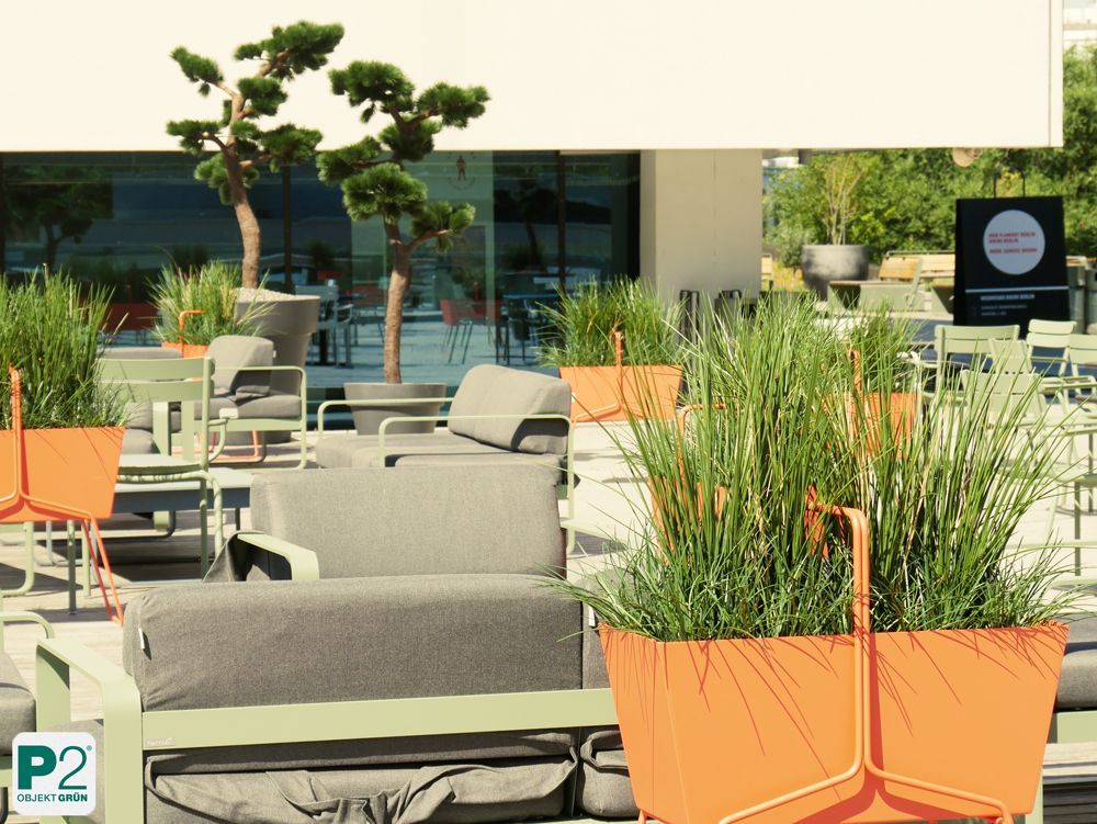 Stilvolle Gartenmöbel mit Pflanzen im Hintergrund.