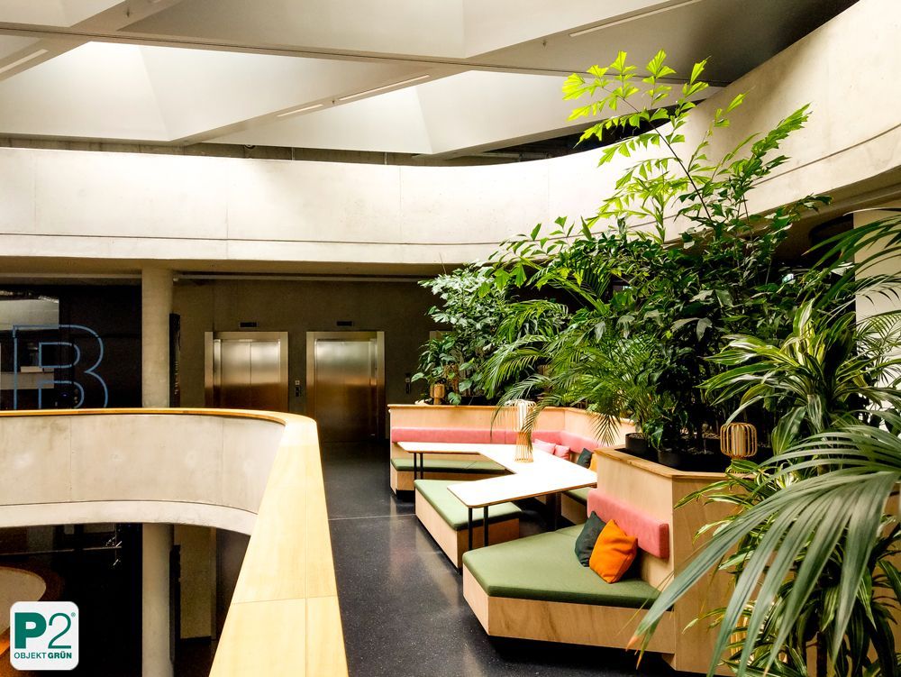 Lichtdurchfluteter Innenraum mit verschiedenen Topfpflanzen